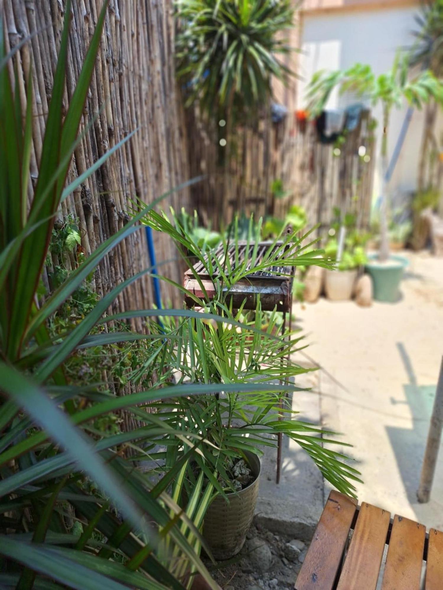 Pagudpud Rinnovati Exterior photo